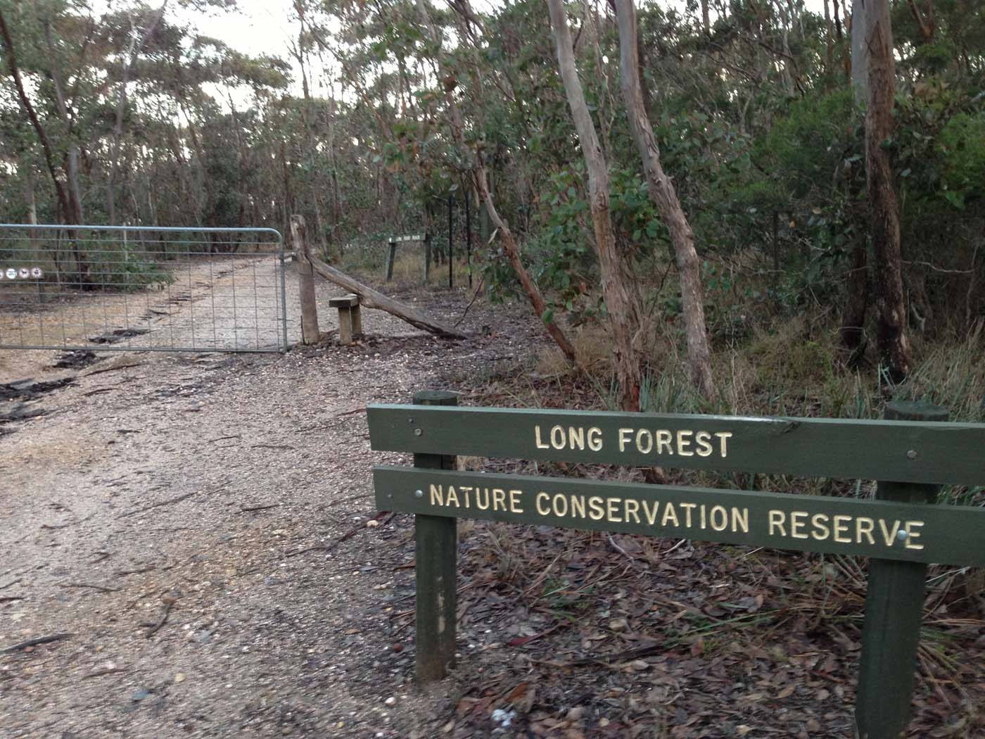 Coimadai creek long forest (21)