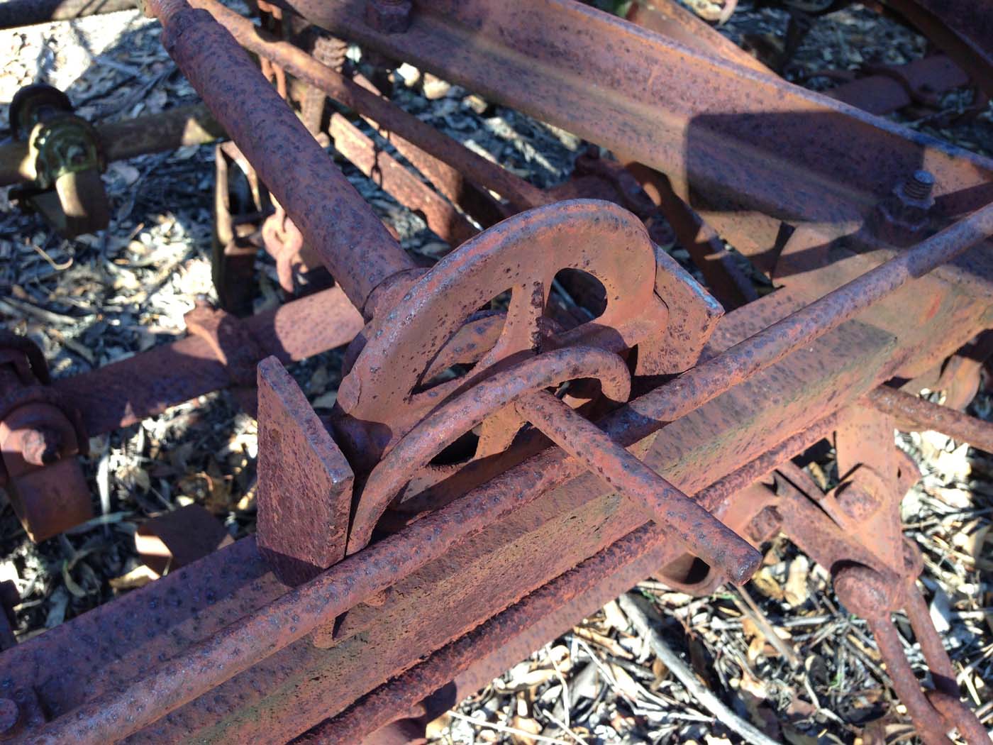 Coimadai creek long forest (35)