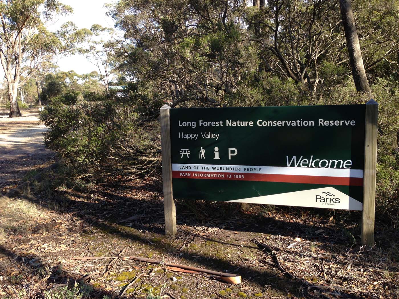 Coimadai creek long forest (37)