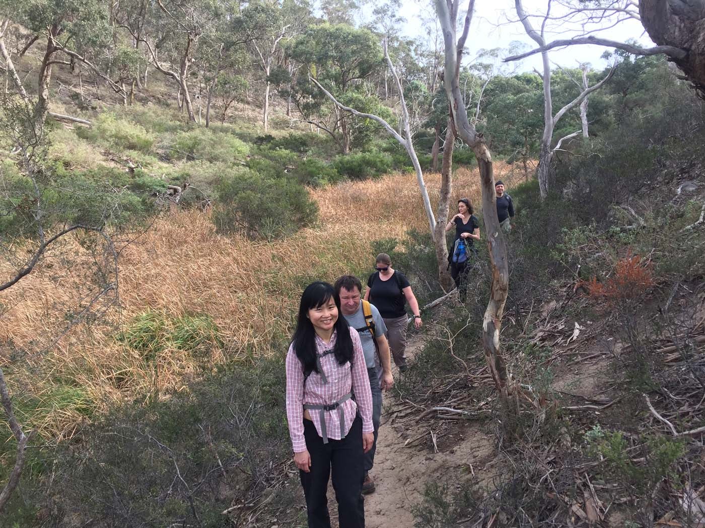 Coimadai creek long forest (8)