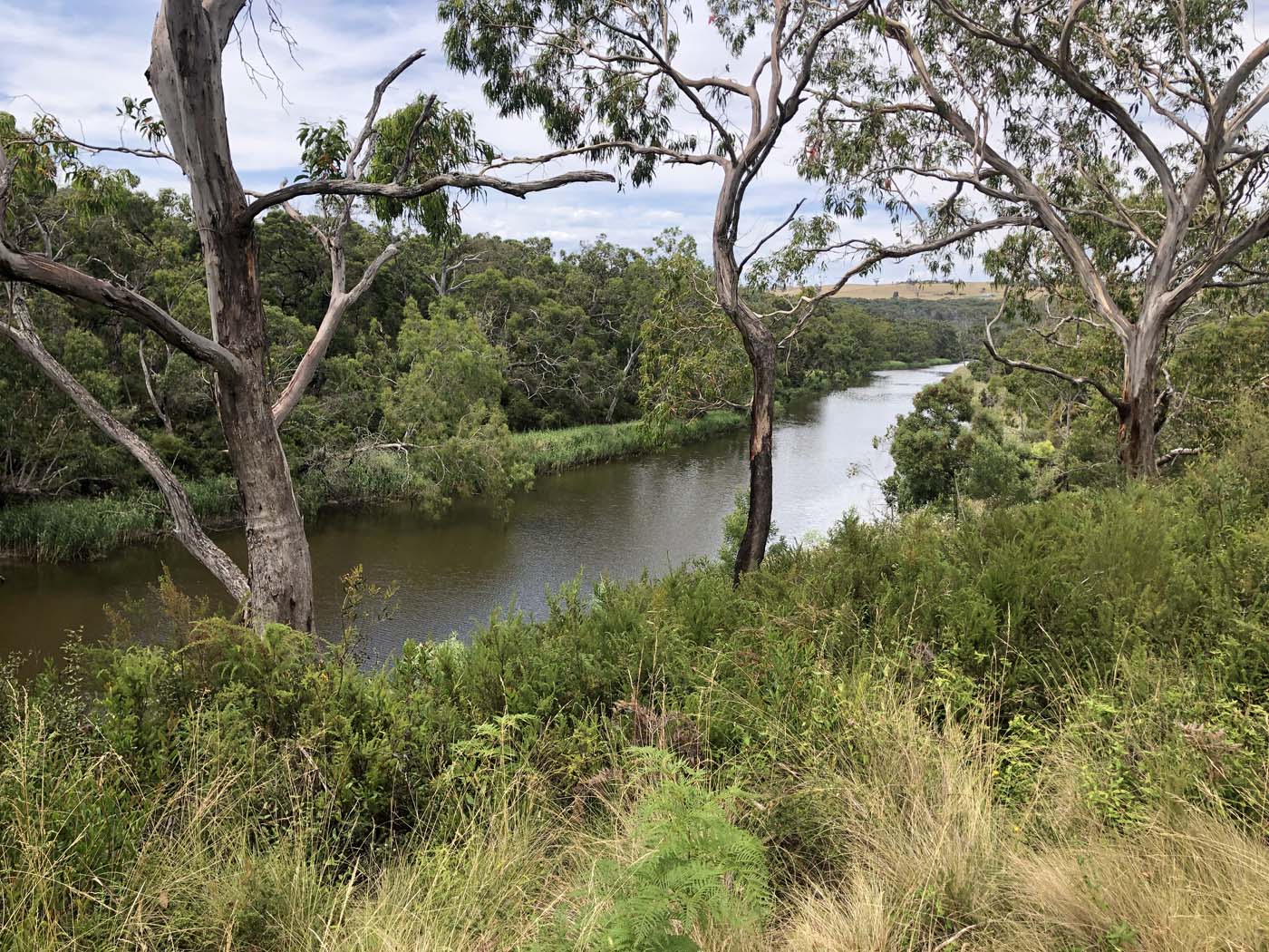 Guide to the great south west walk (1)