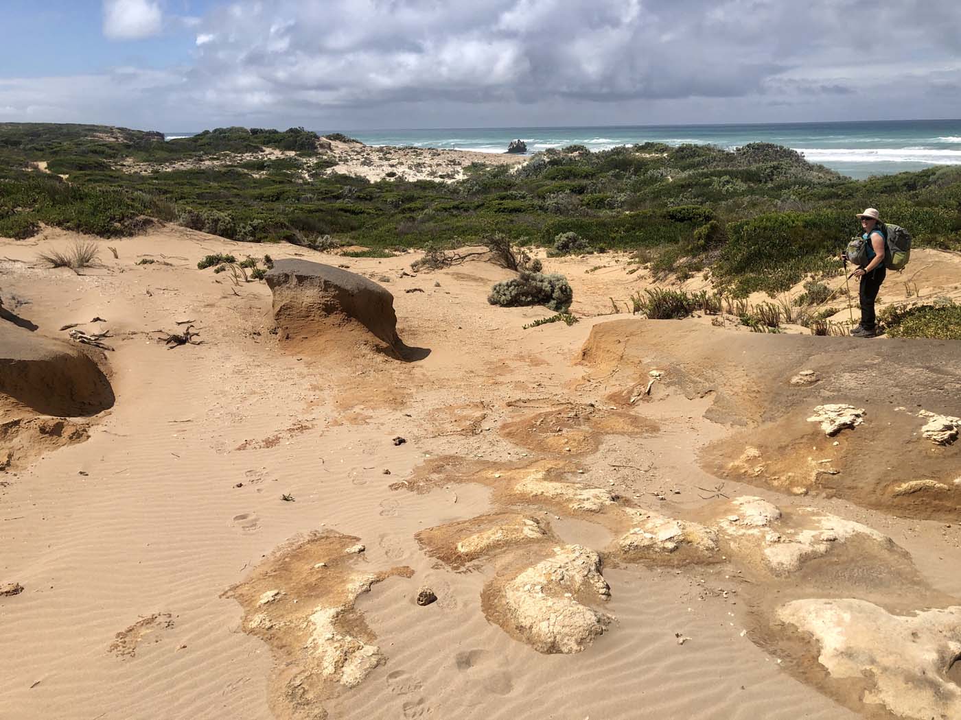 Guide to the great south west walk (12)