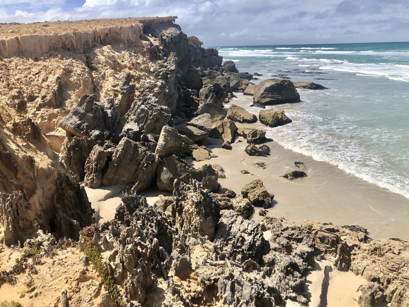 Guide to the great south west walk (13)