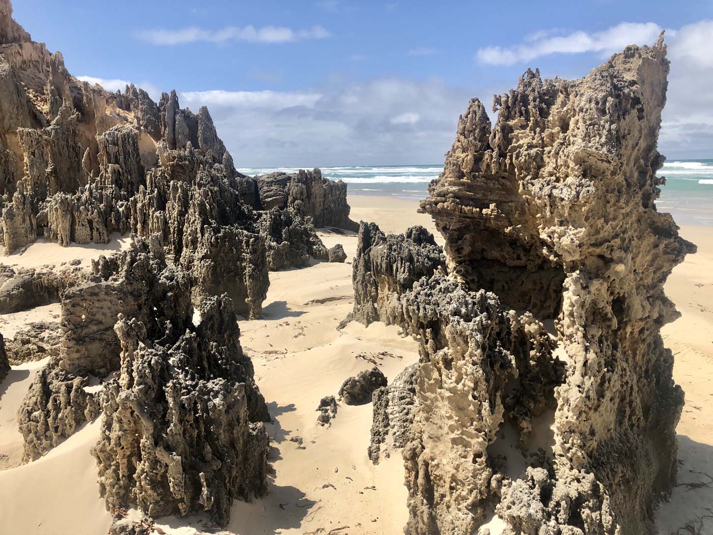 Guide to the great south west walk (14)