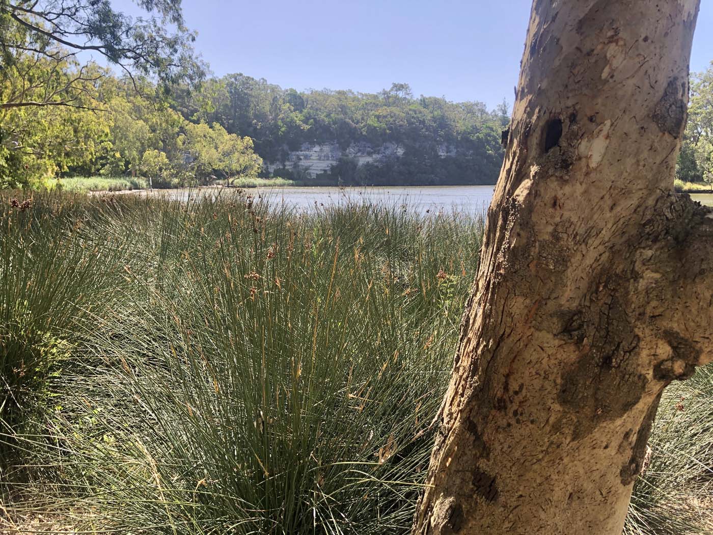 Guide to the great south west walk (5)