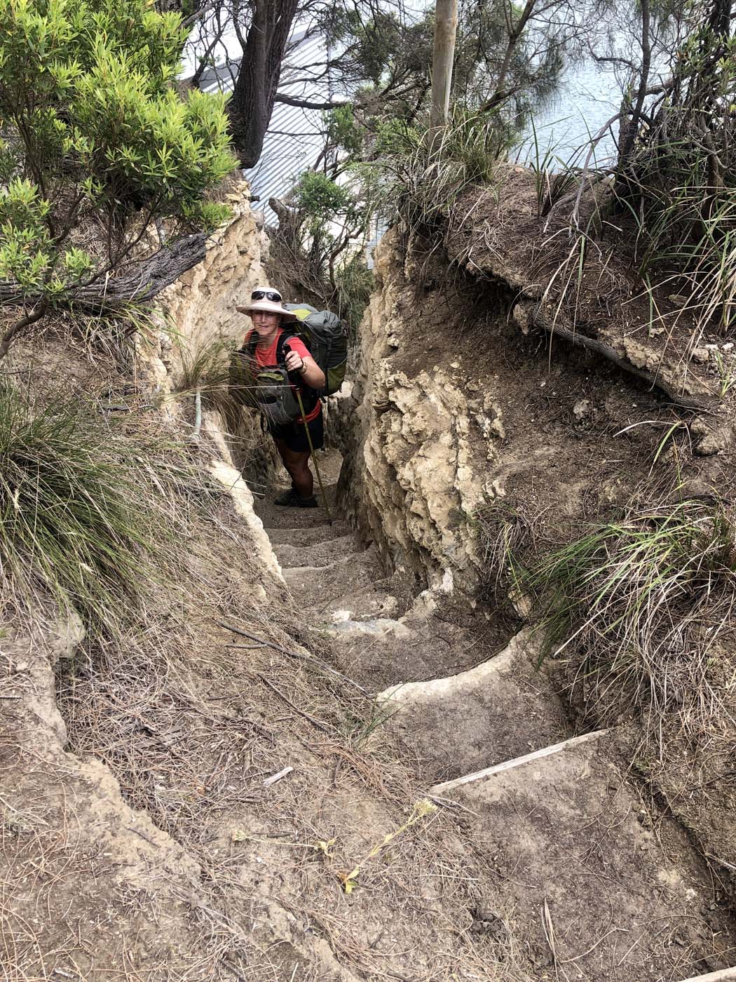 Guide to the great south west walk (8)