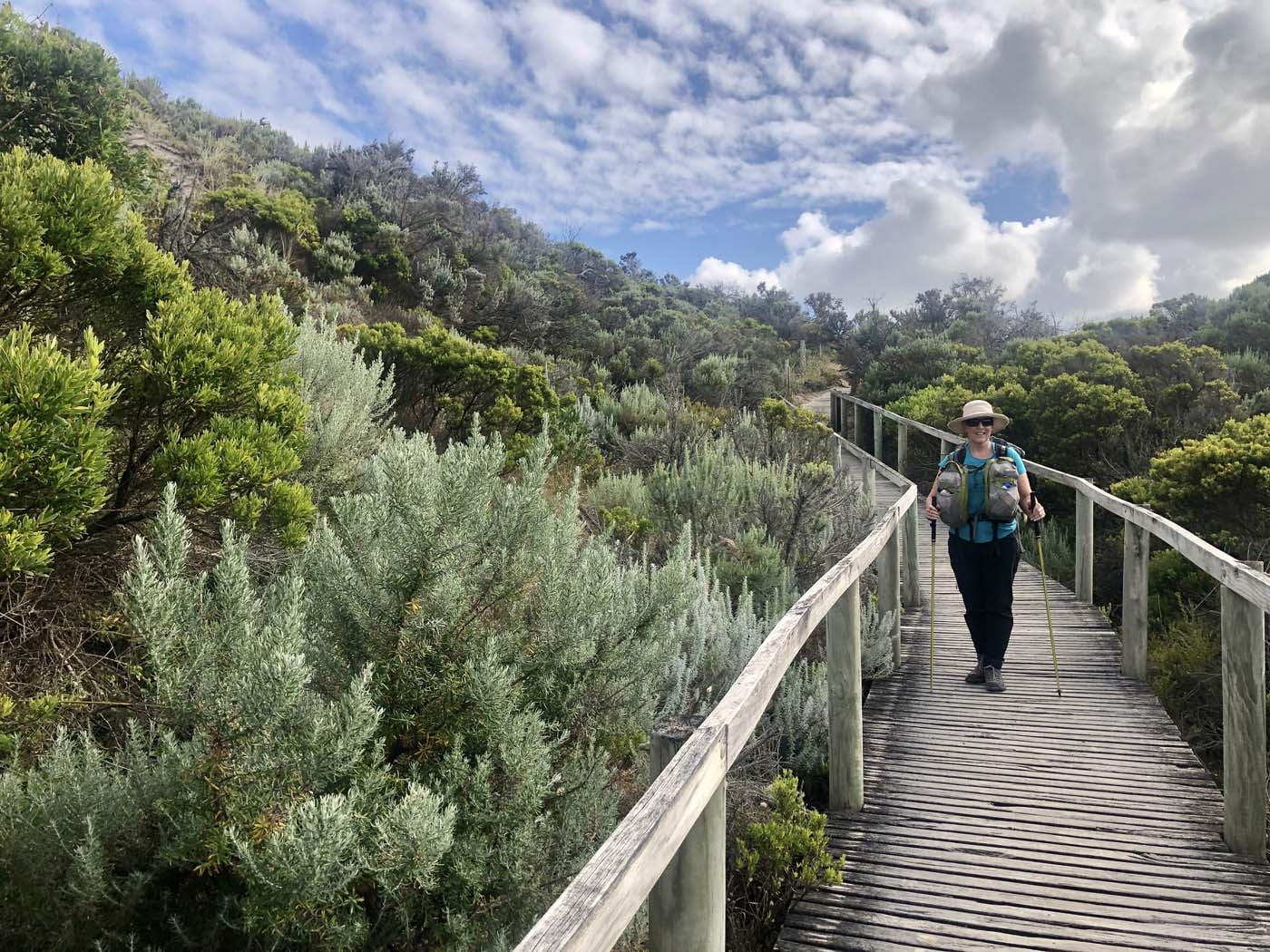 Guide to the great south west walk (9)