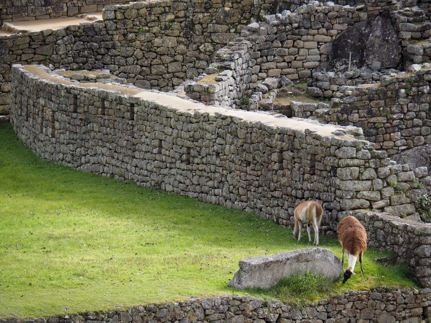Inka trail peru (10)