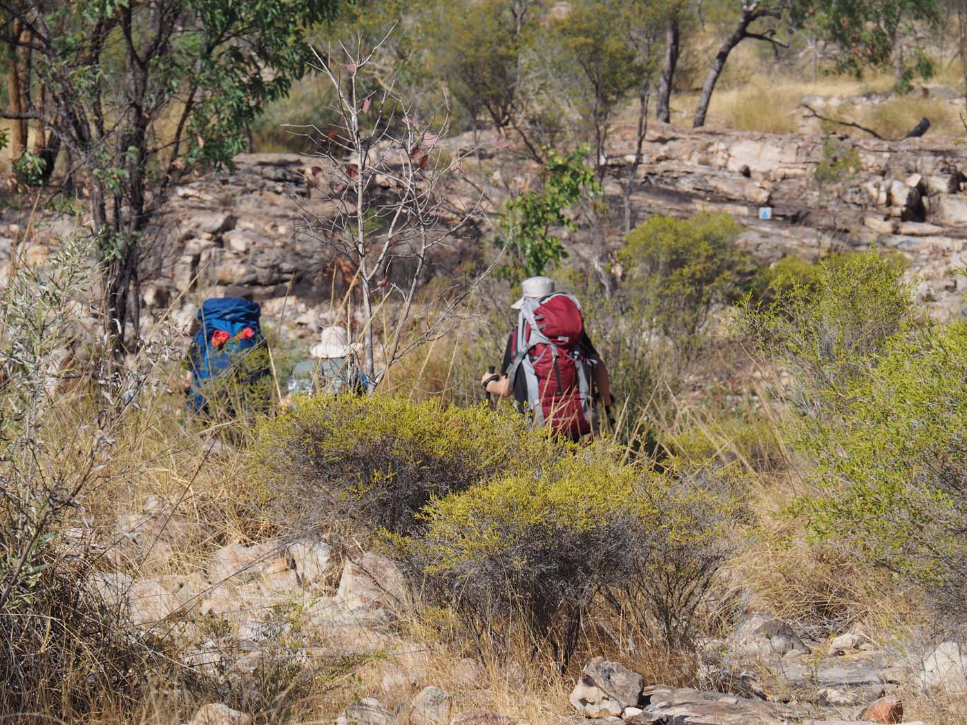 Guide to the jatbula trail (15)