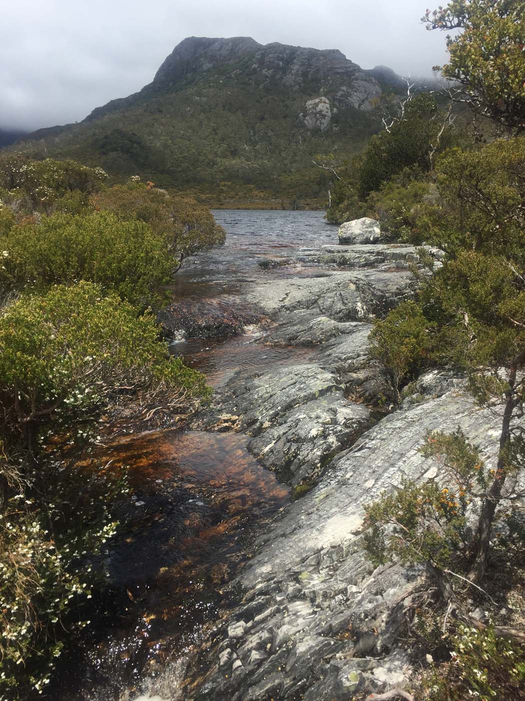 Guide to the overland track (1)