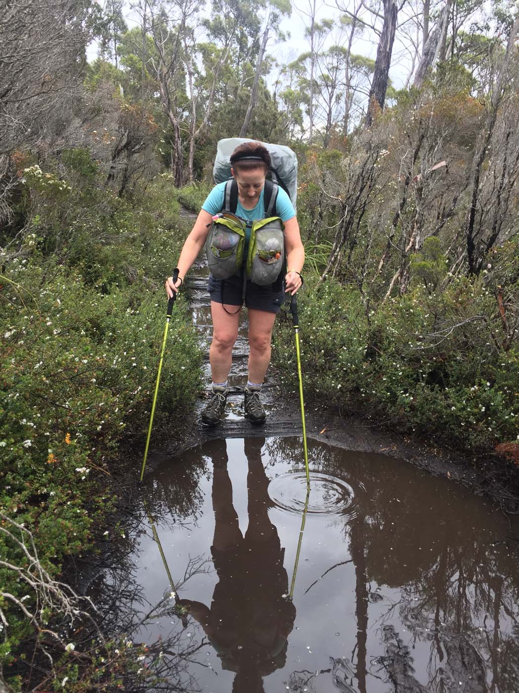 Guide to the overland track (10)