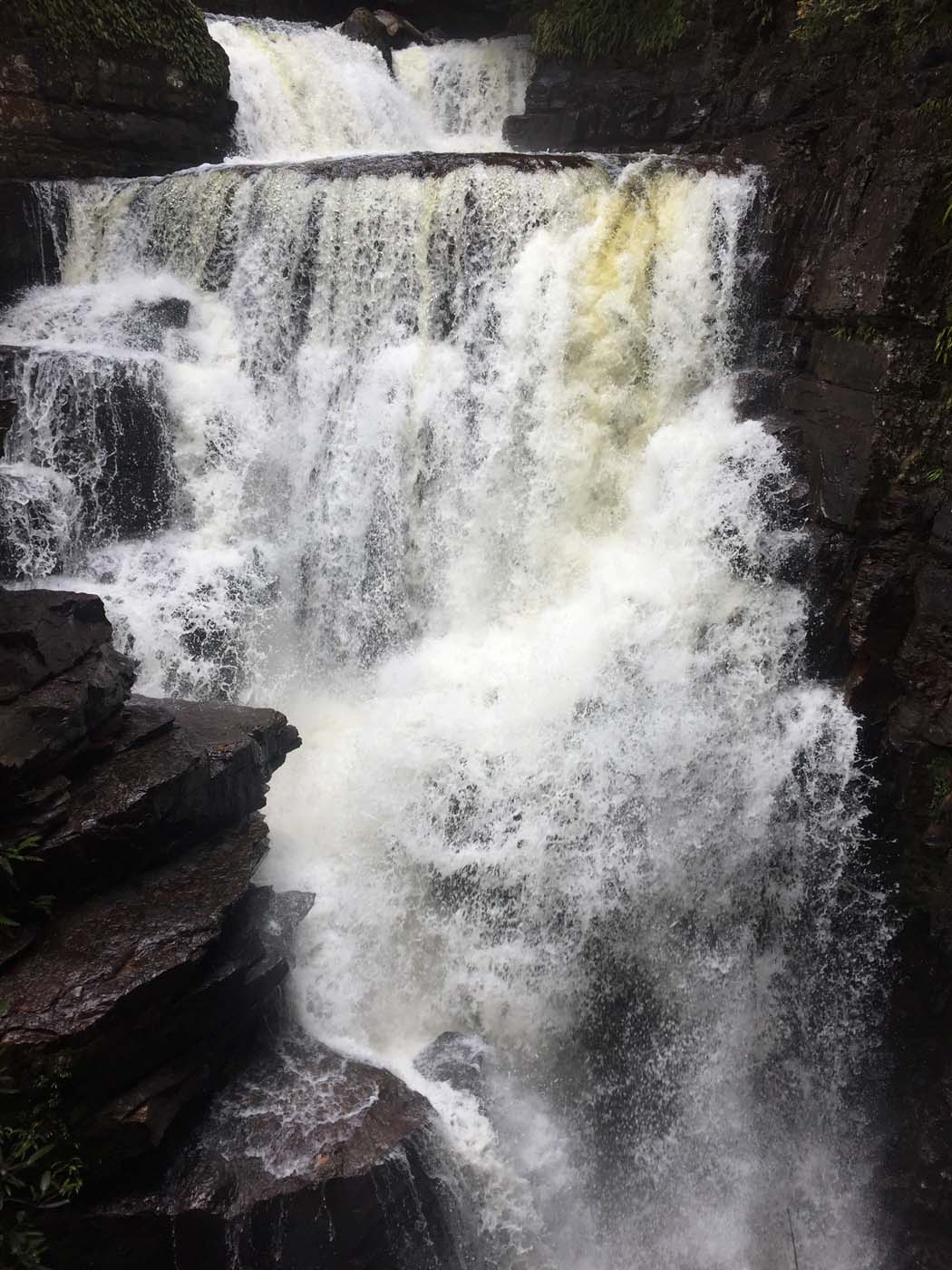Guide to the overland track (12)
