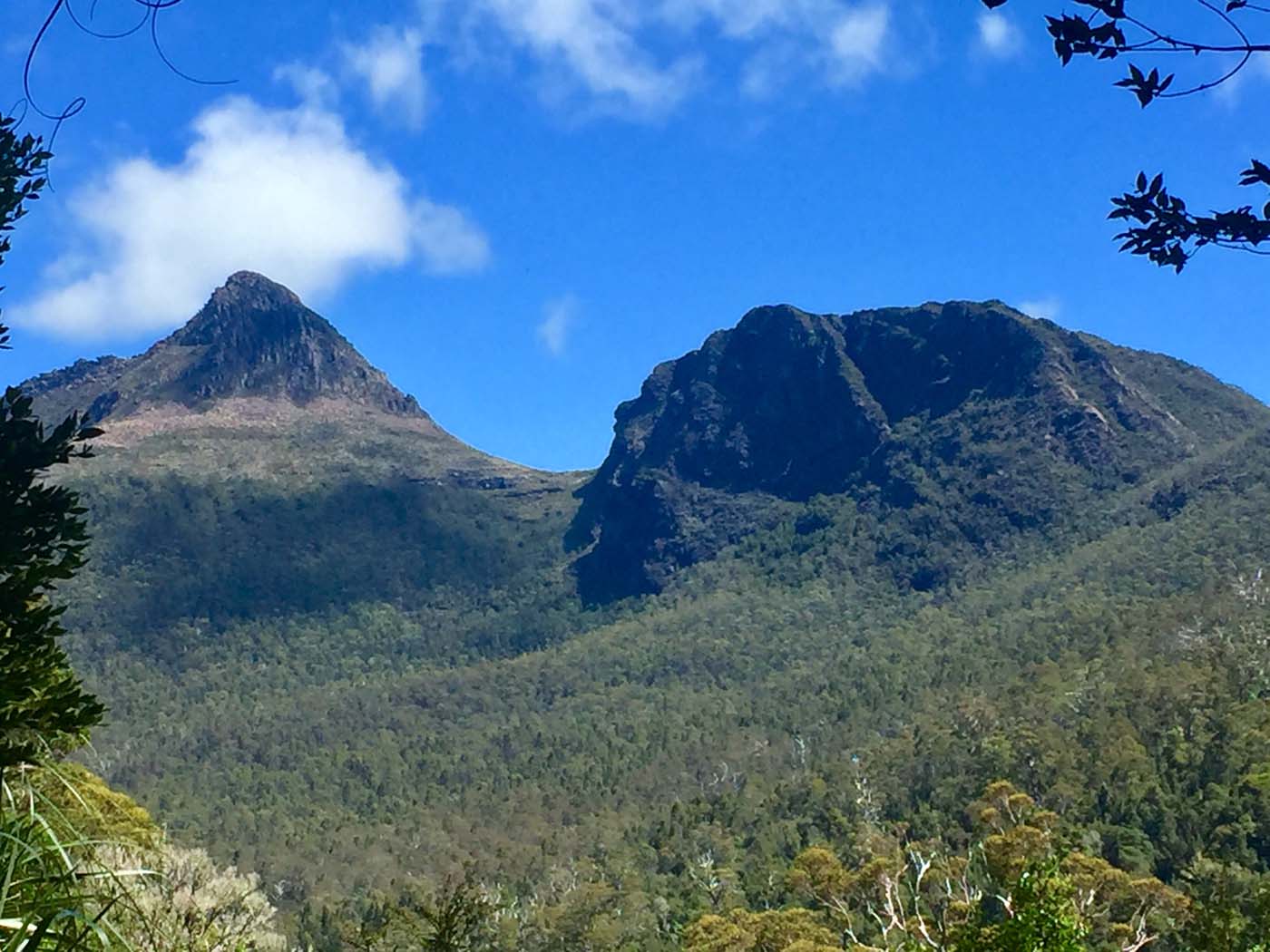 Guide to the overland track (17)