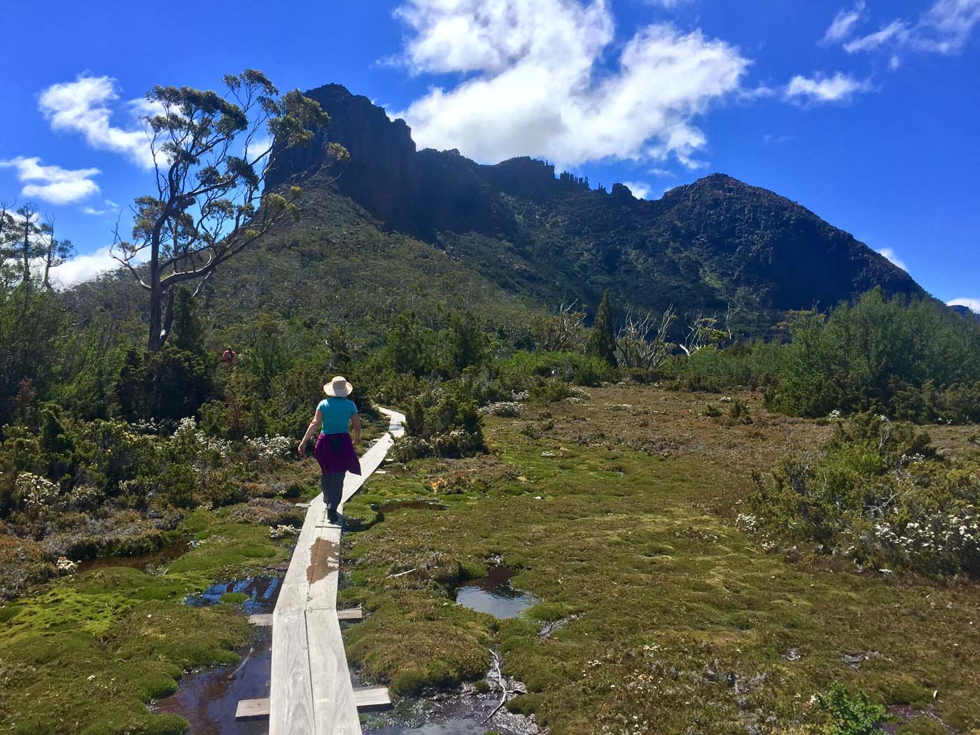 Guide to the overland track (18)