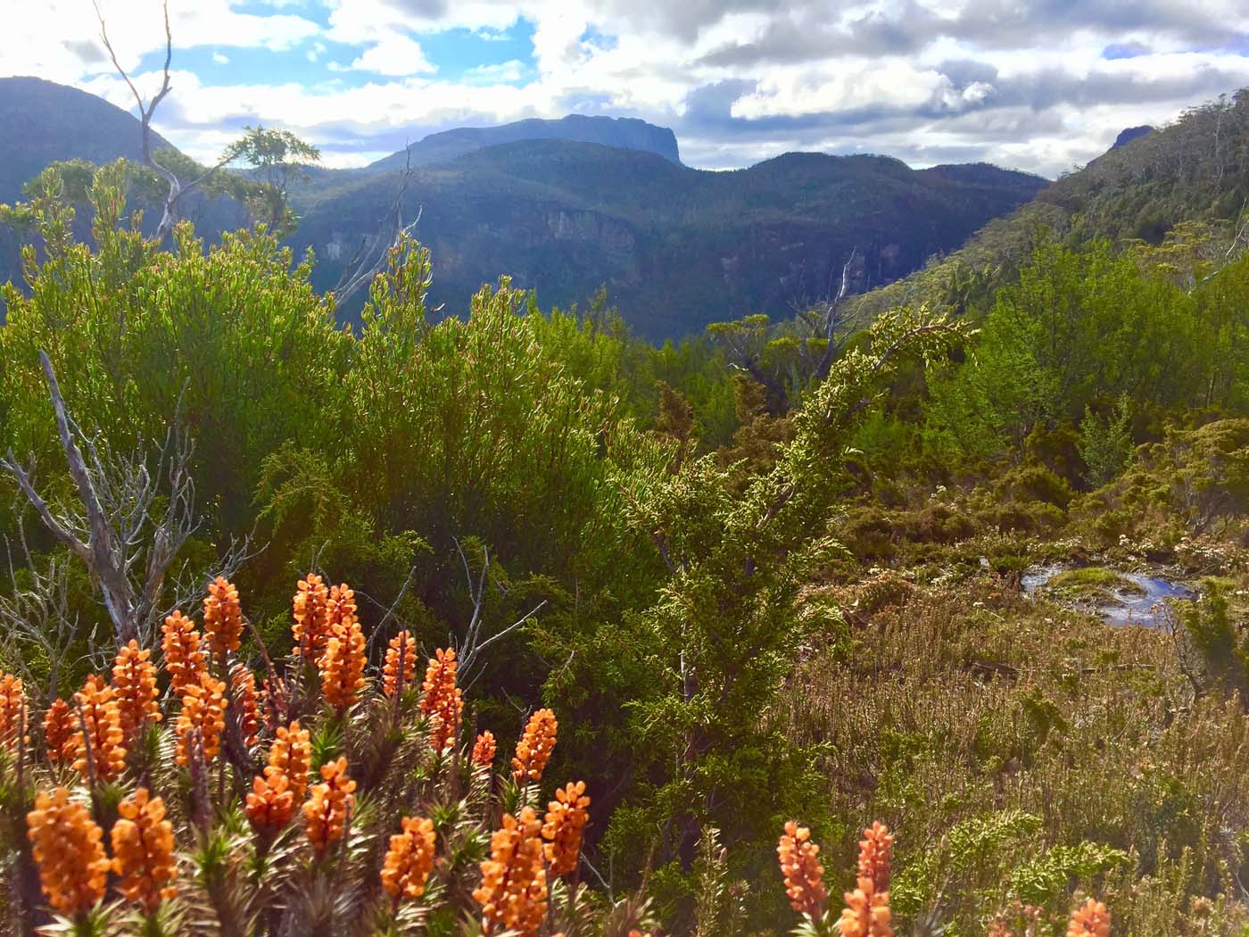 Guide to the overland track (19)
