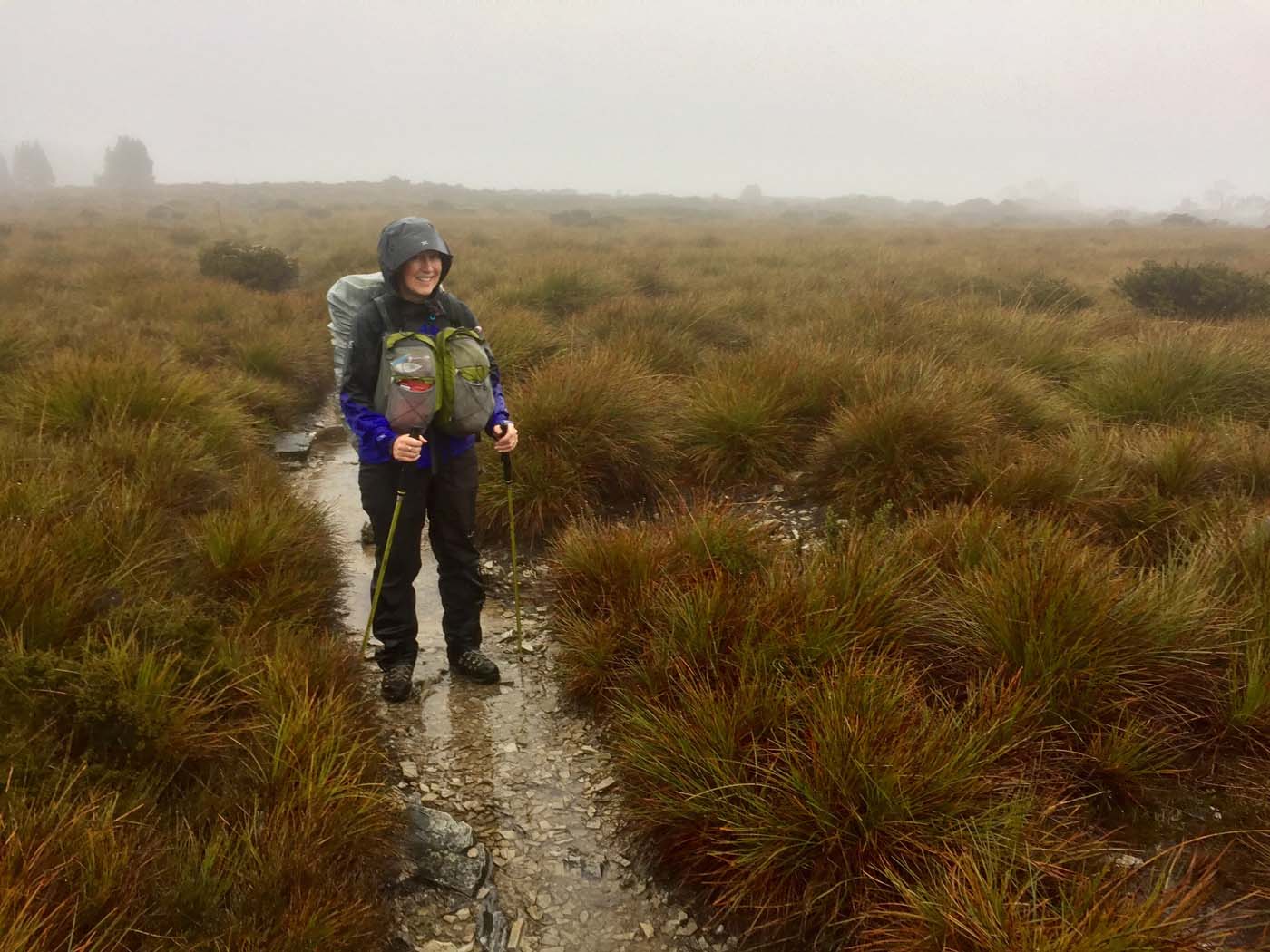 Guide to the overland track (20)
