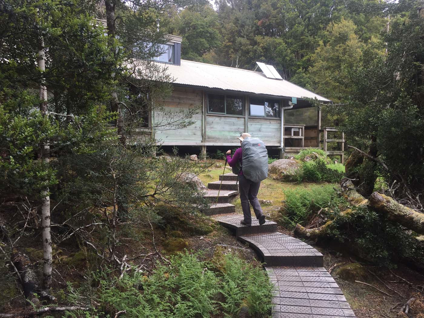Guide to the overland track (4)