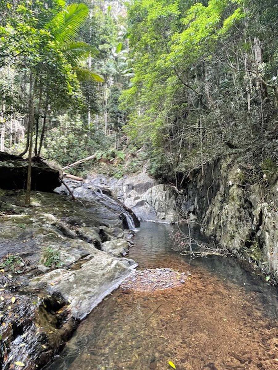 Conondale range great walk 1