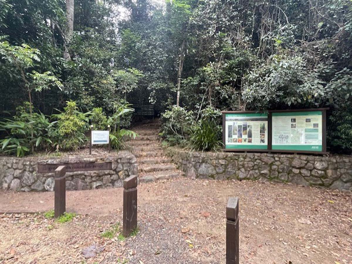 Conondale range great walk 3