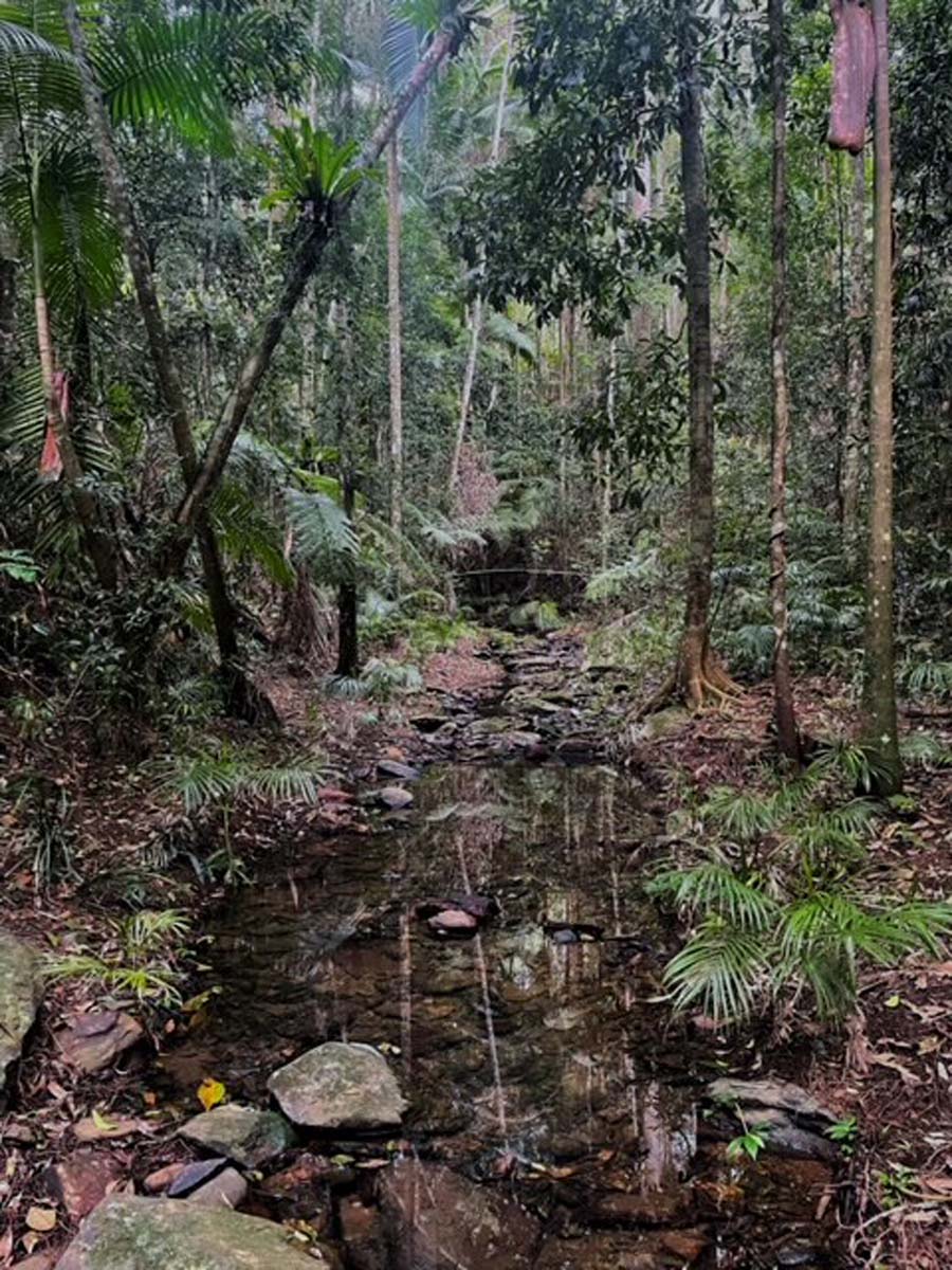Conondale range great walk 4