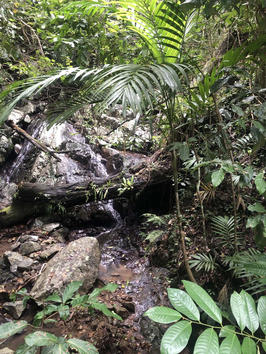 Conway circuit hike (14)