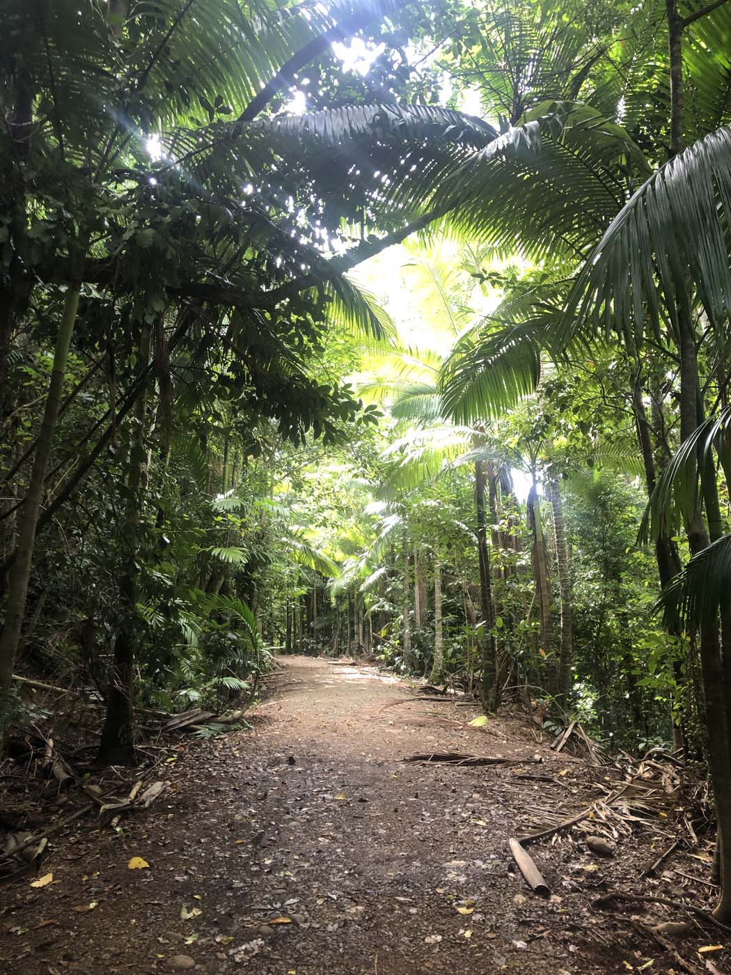Conway circuit hike (15)