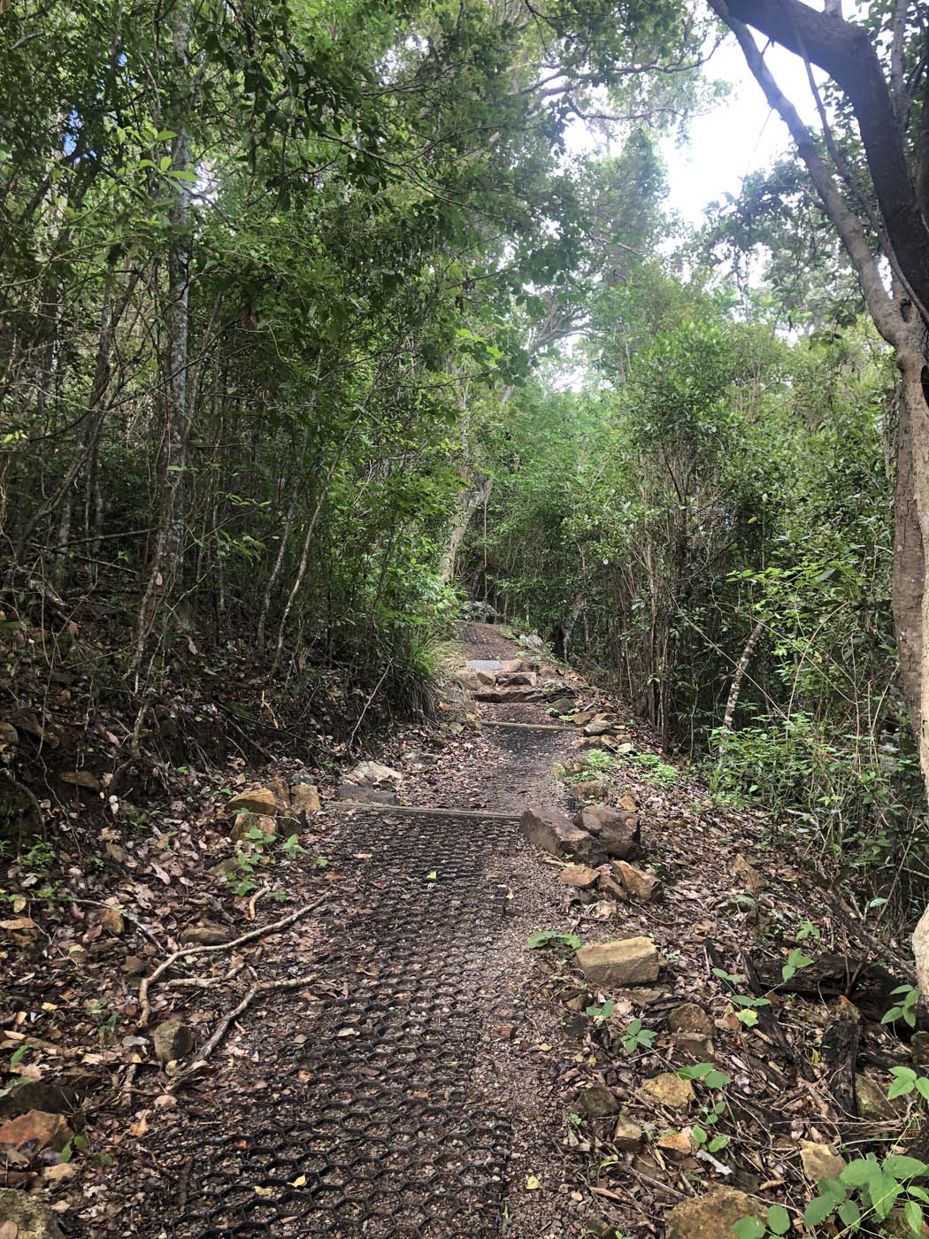 Conway circuit hike (2)