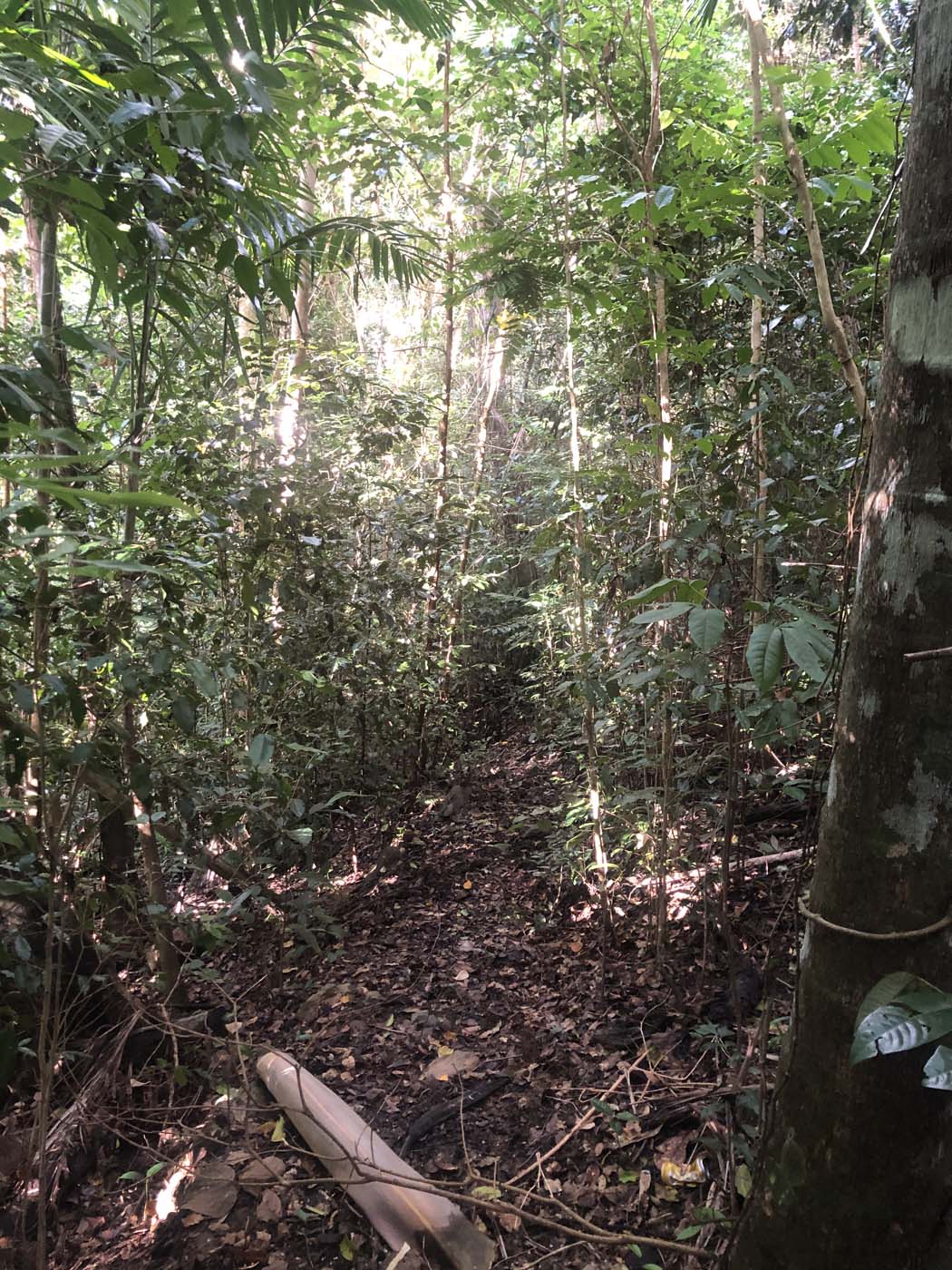 Conway circuit hike (26)