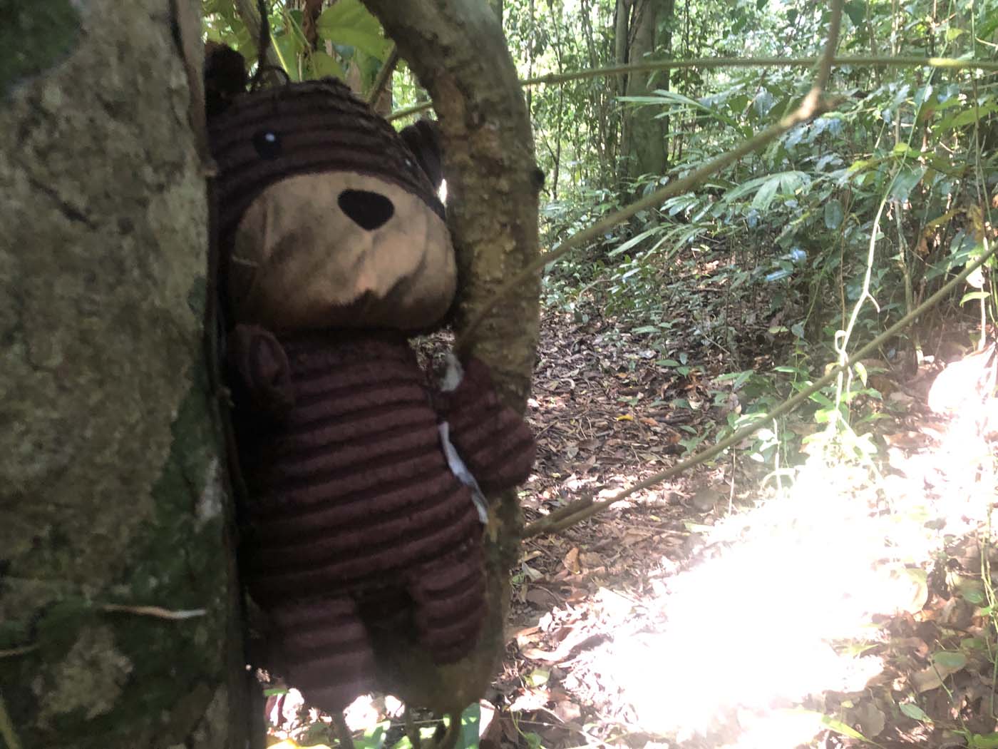 Conway circuit hike (27)