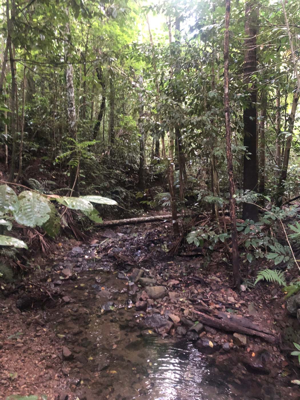 Conway circuit hike (29)