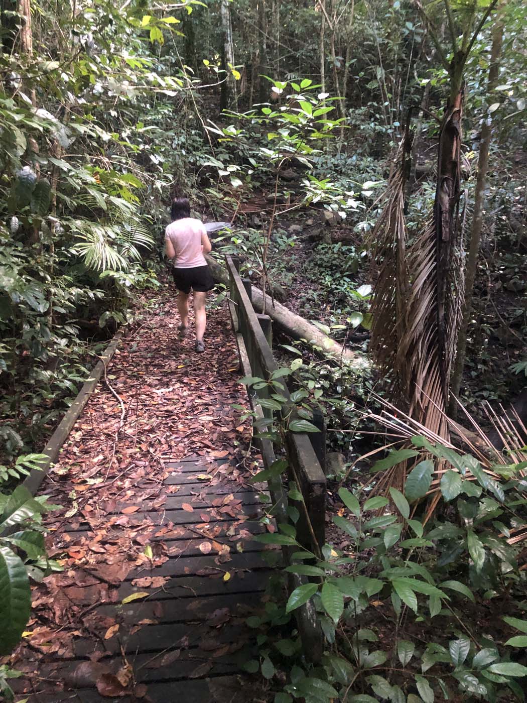 Conway circuit hike (32)