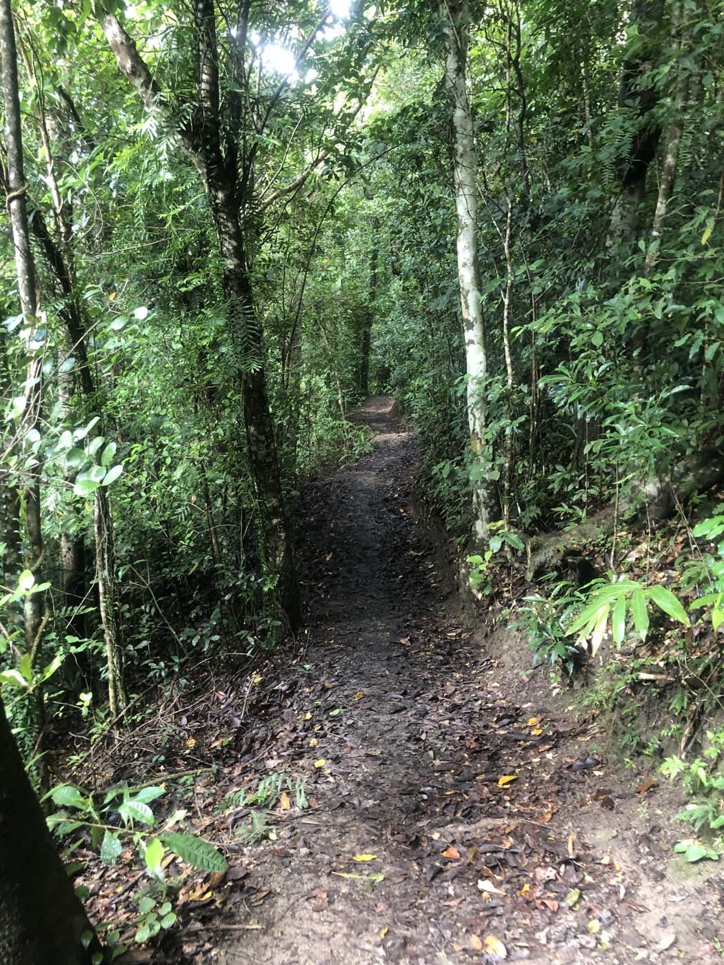 Conway circuit hike (4)