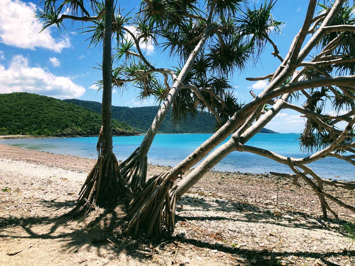 Coral beach & the beak walk 12