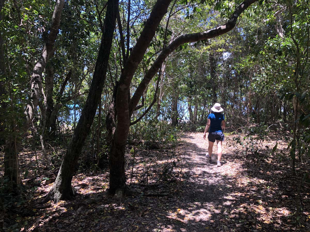 Coral beach & the beak walk 4