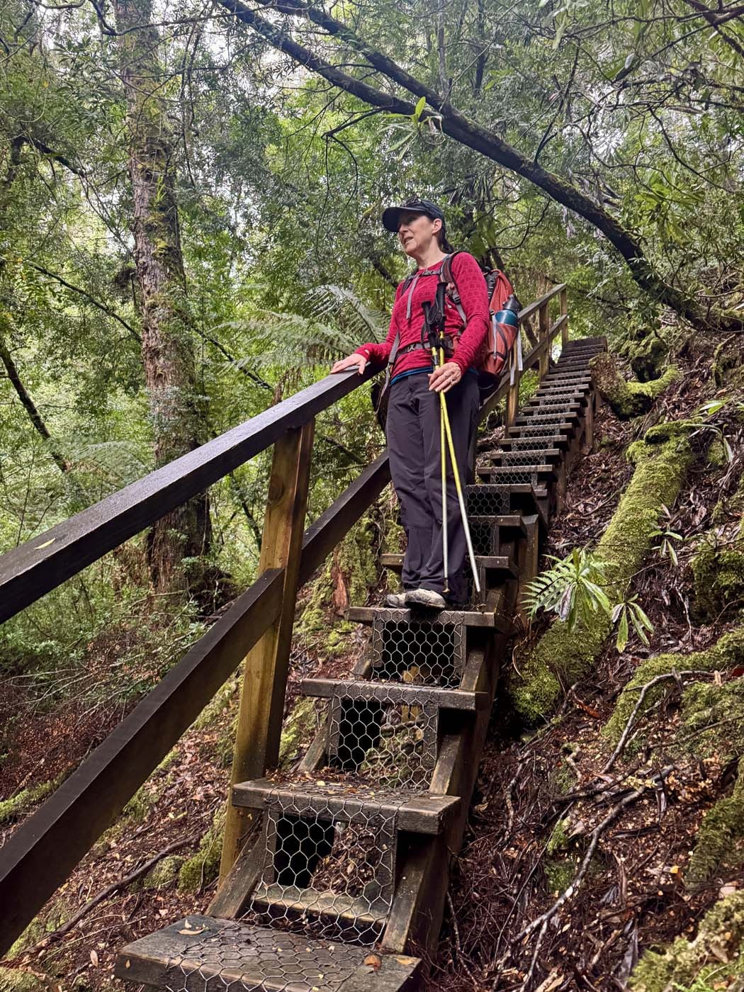 Corinna wilderness (18)
