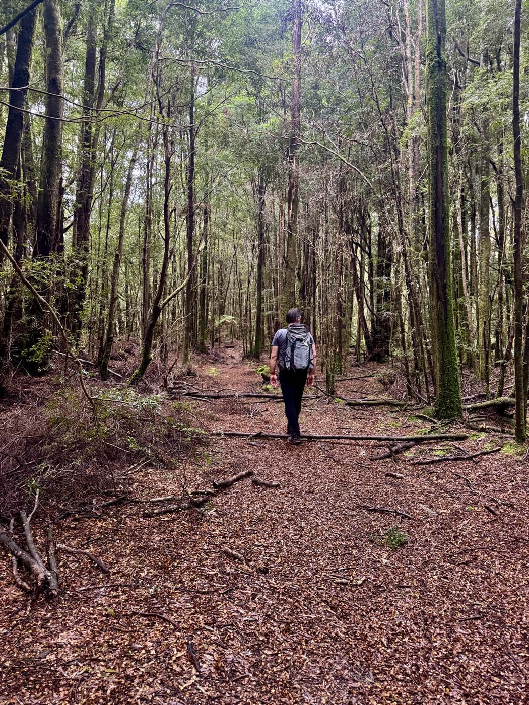 Corinna wilderness (19)