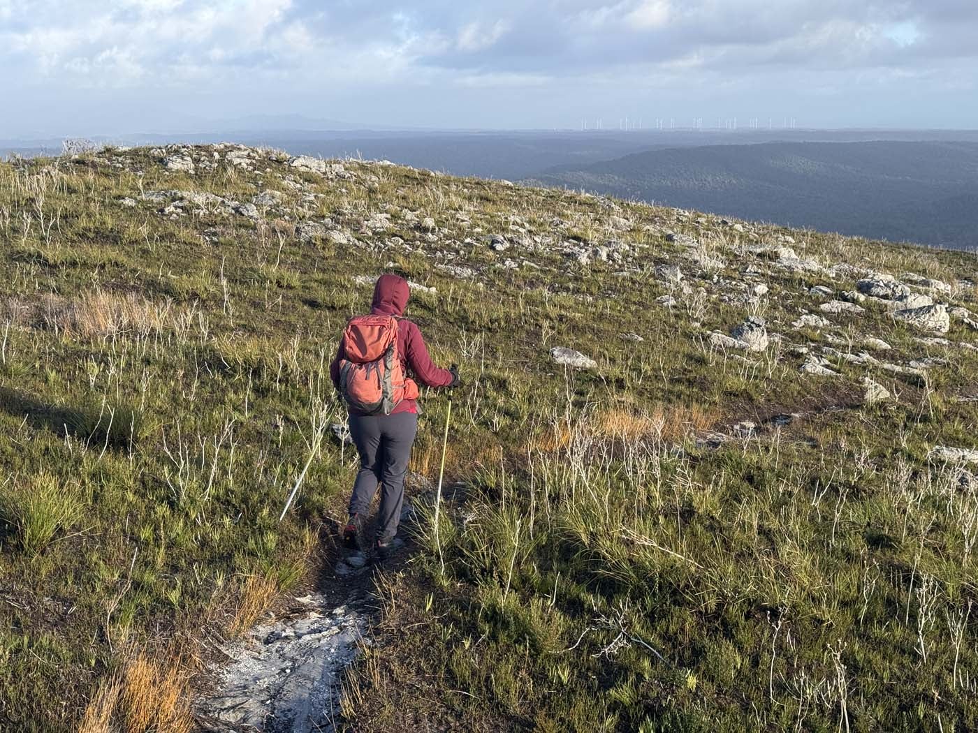 Corinna wilderness (5)
