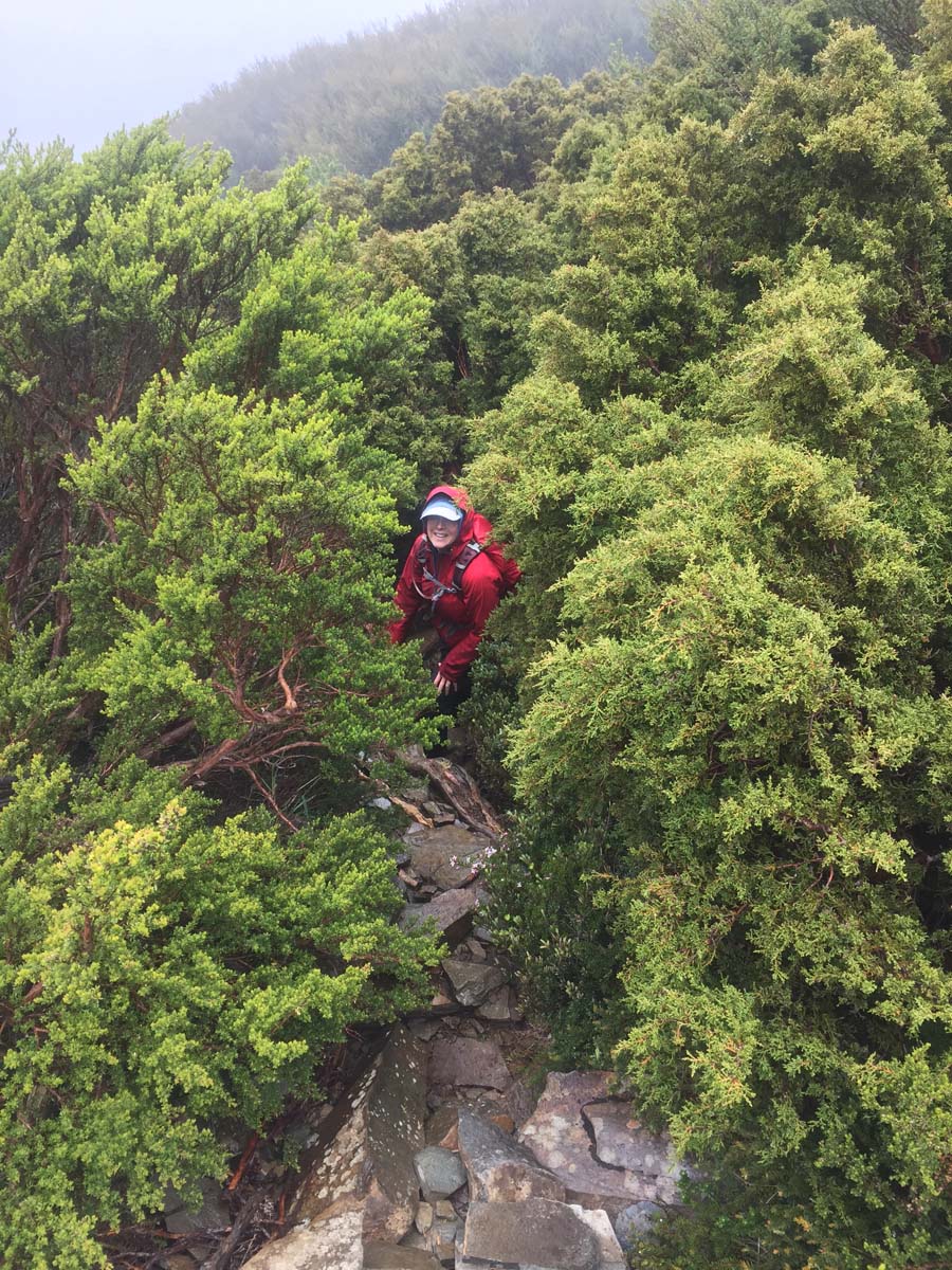 Cradle mountain lakes circuit hike 4