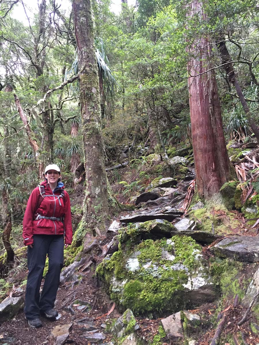 Cradle mountain lakes circuit hike 7