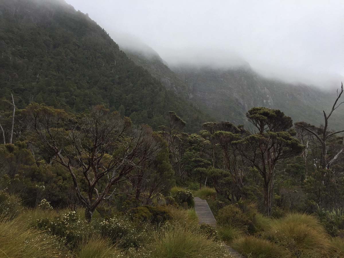 Cradle mountain summit hike 41