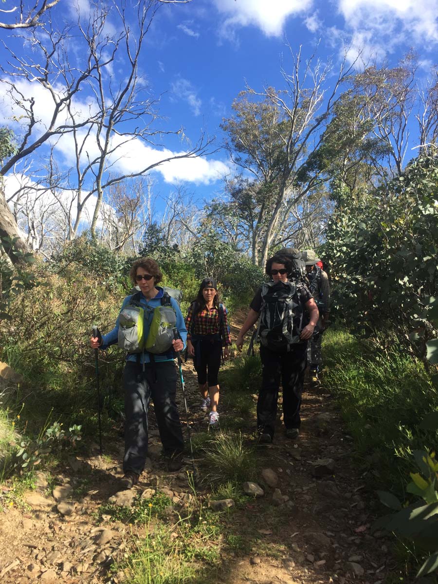 Crosscut saw & mt speculation hike 1