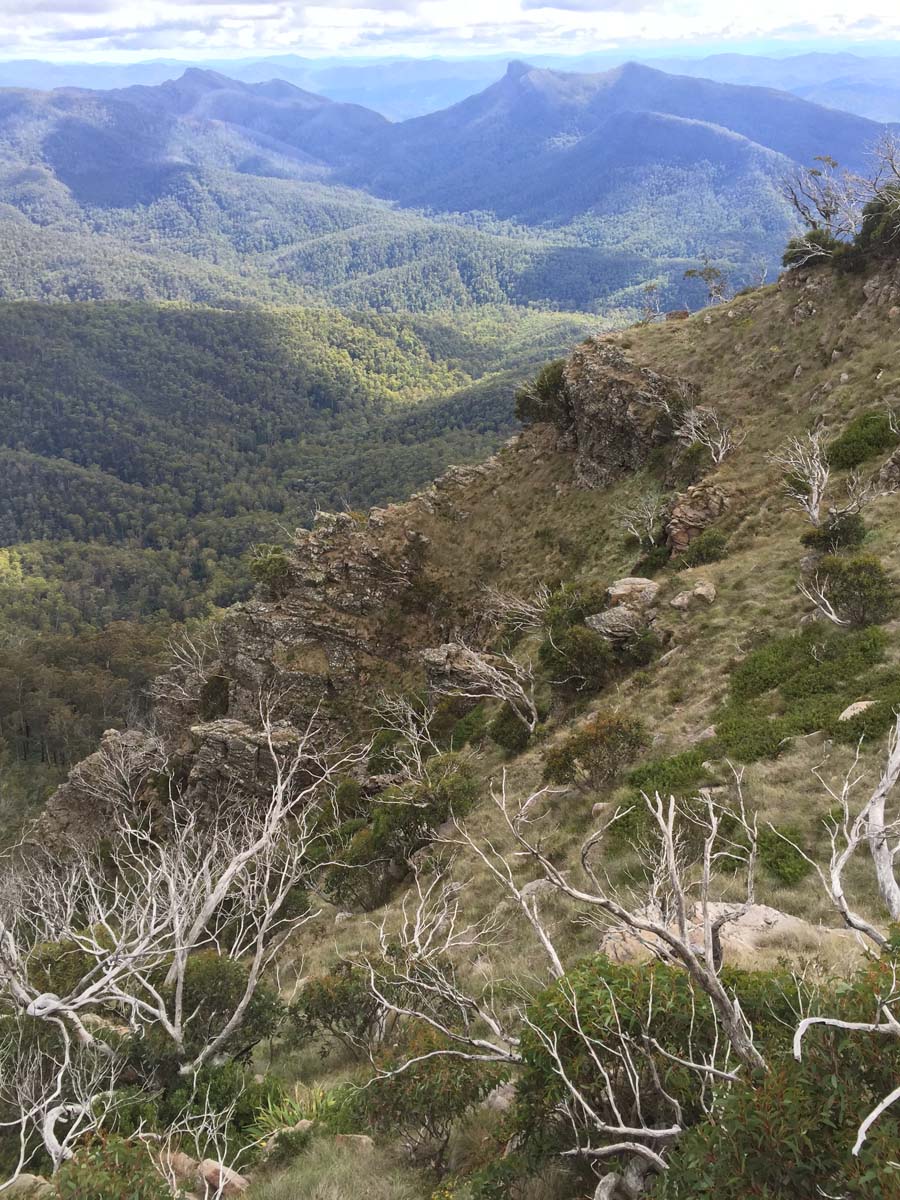 Crosscut saw & mt speculation hike 12