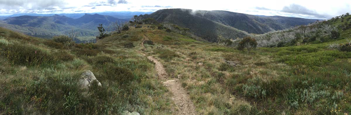 Crosscut saw & mt speculation hike 13