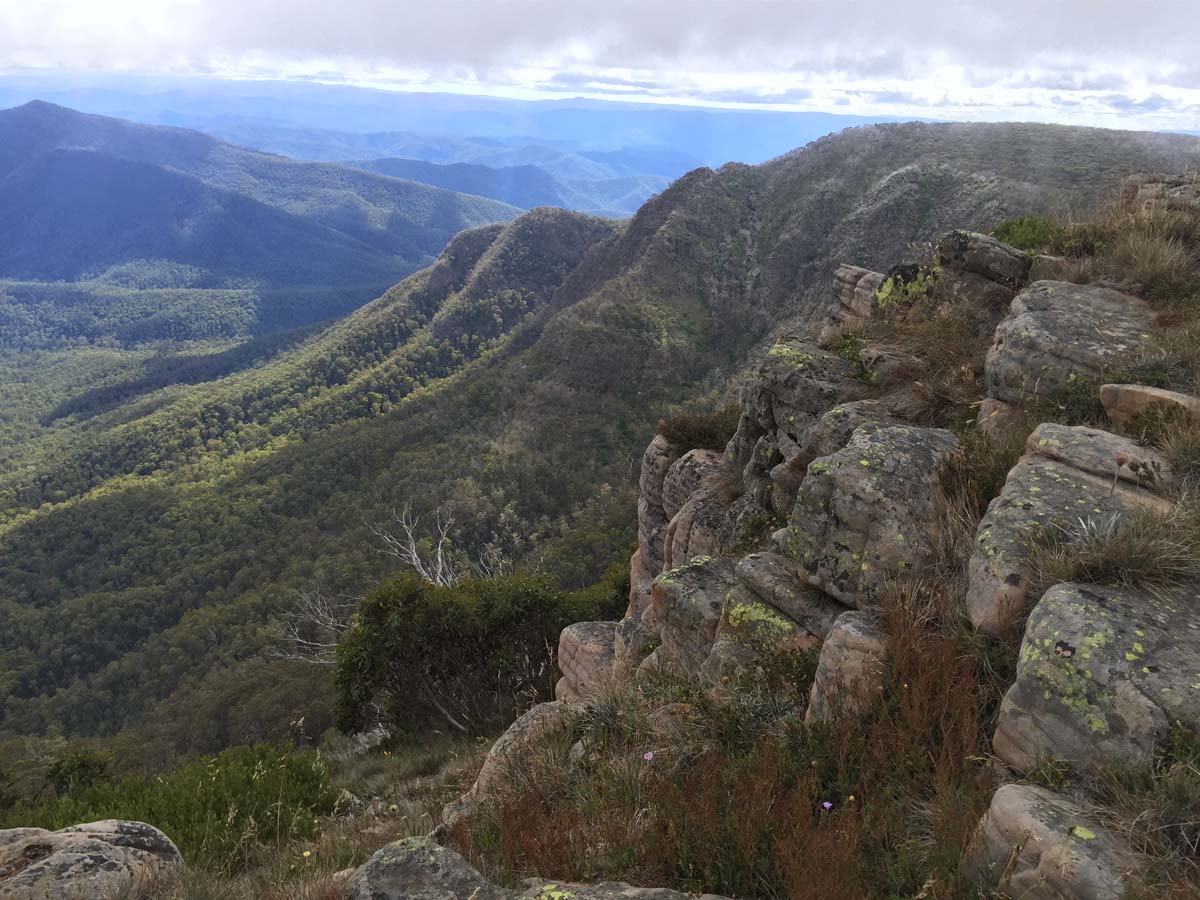 Crosscut saw & mt speculation hike 14