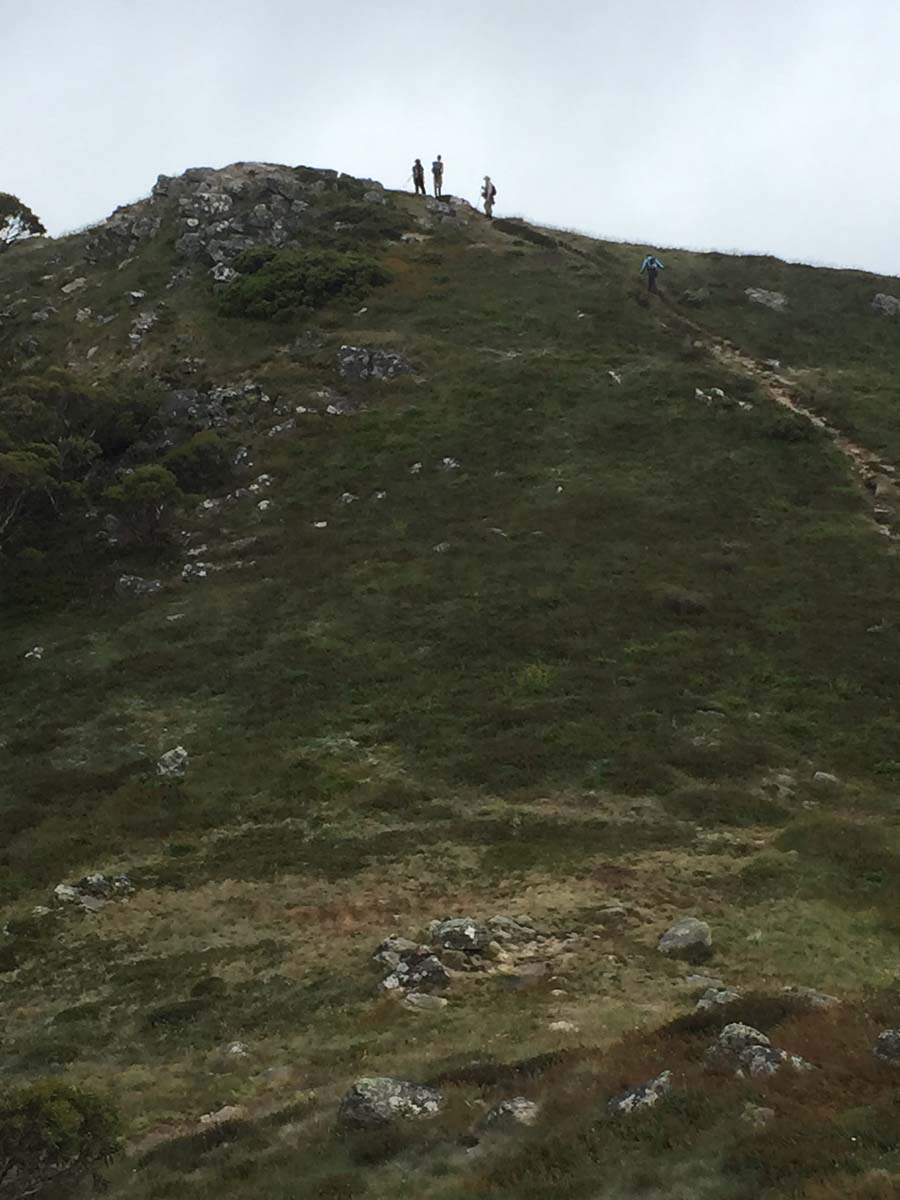 Crosscut saw & mt speculation hike 20