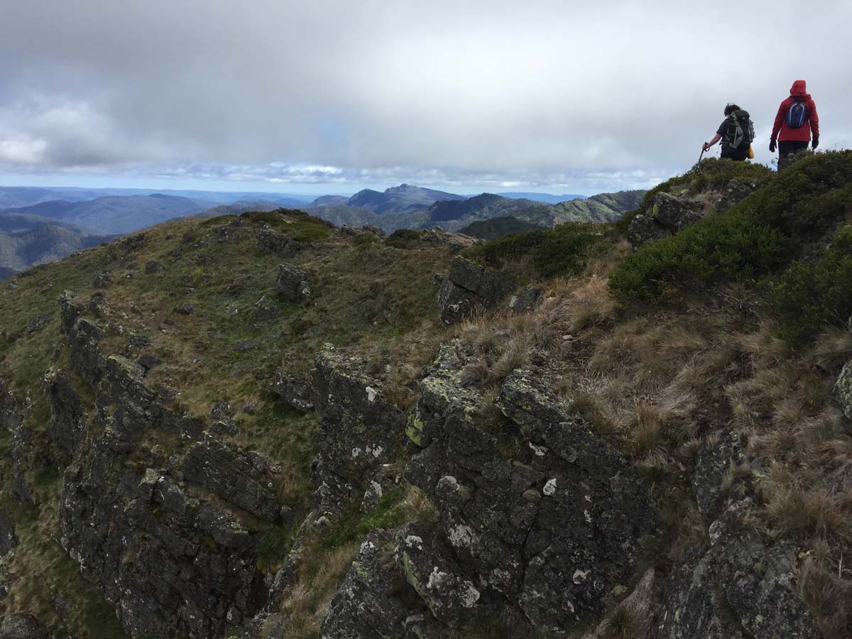 Crosscut saw & mt speculation hike 25