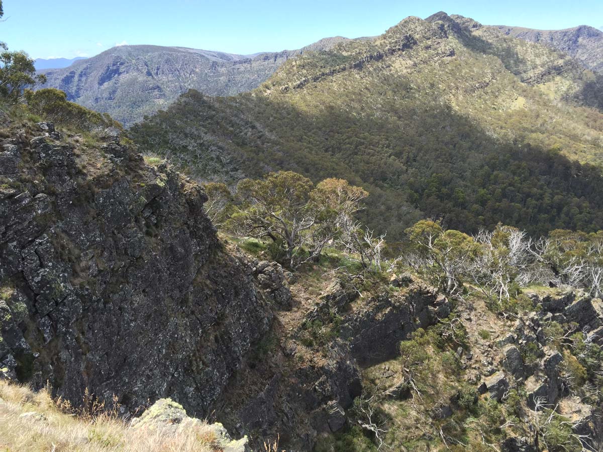 Crosscut saw & mt speculation hike 32