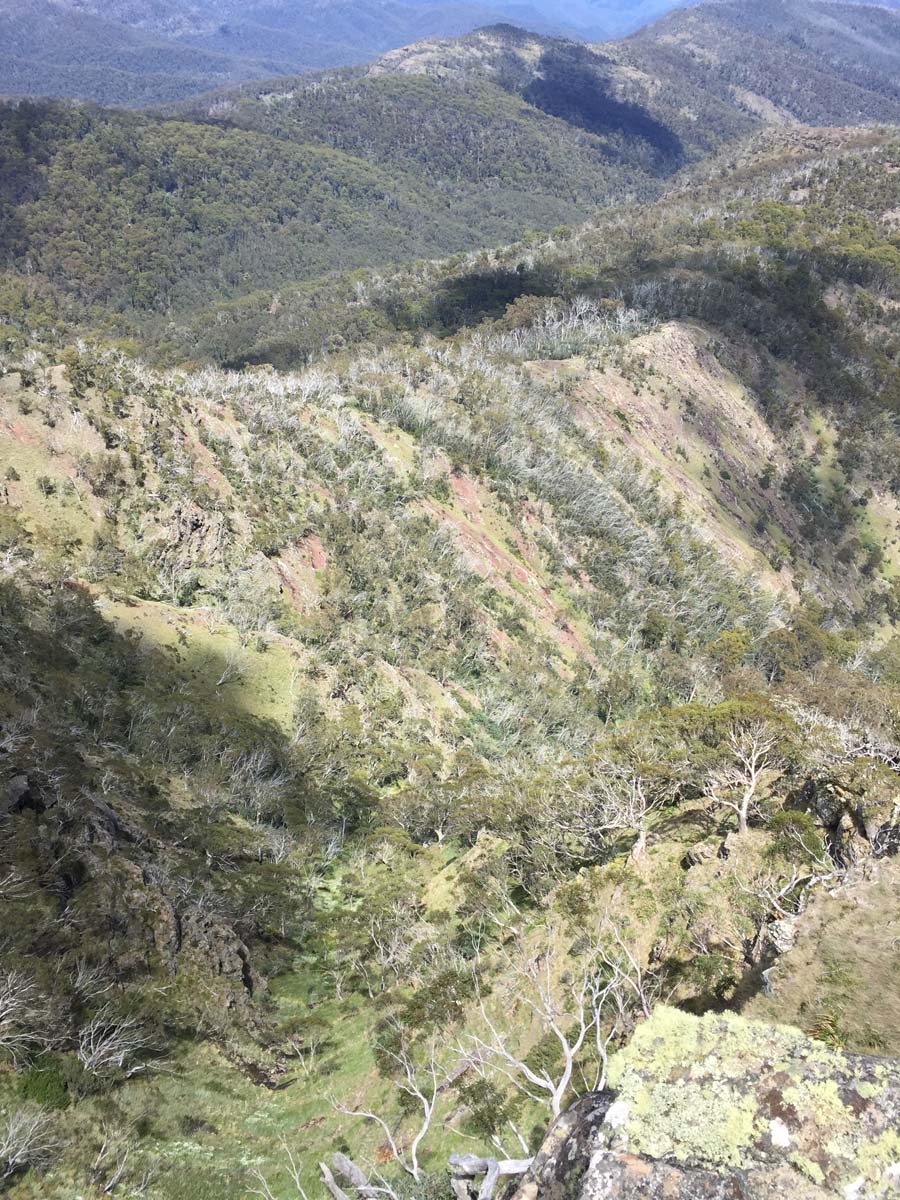 Crosscut saw & mt speculation hike 33