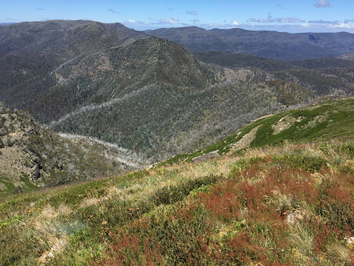 Crosscut saw & mt speculation hike 42