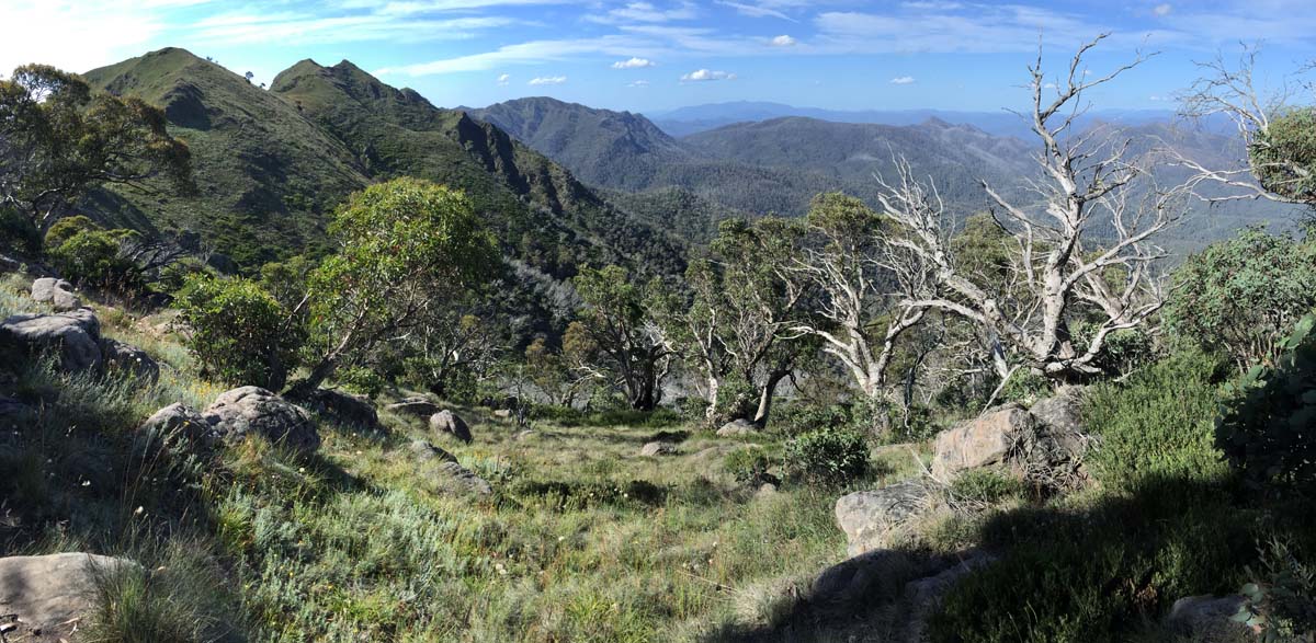 Crosscut saw & mt speculation hike 49